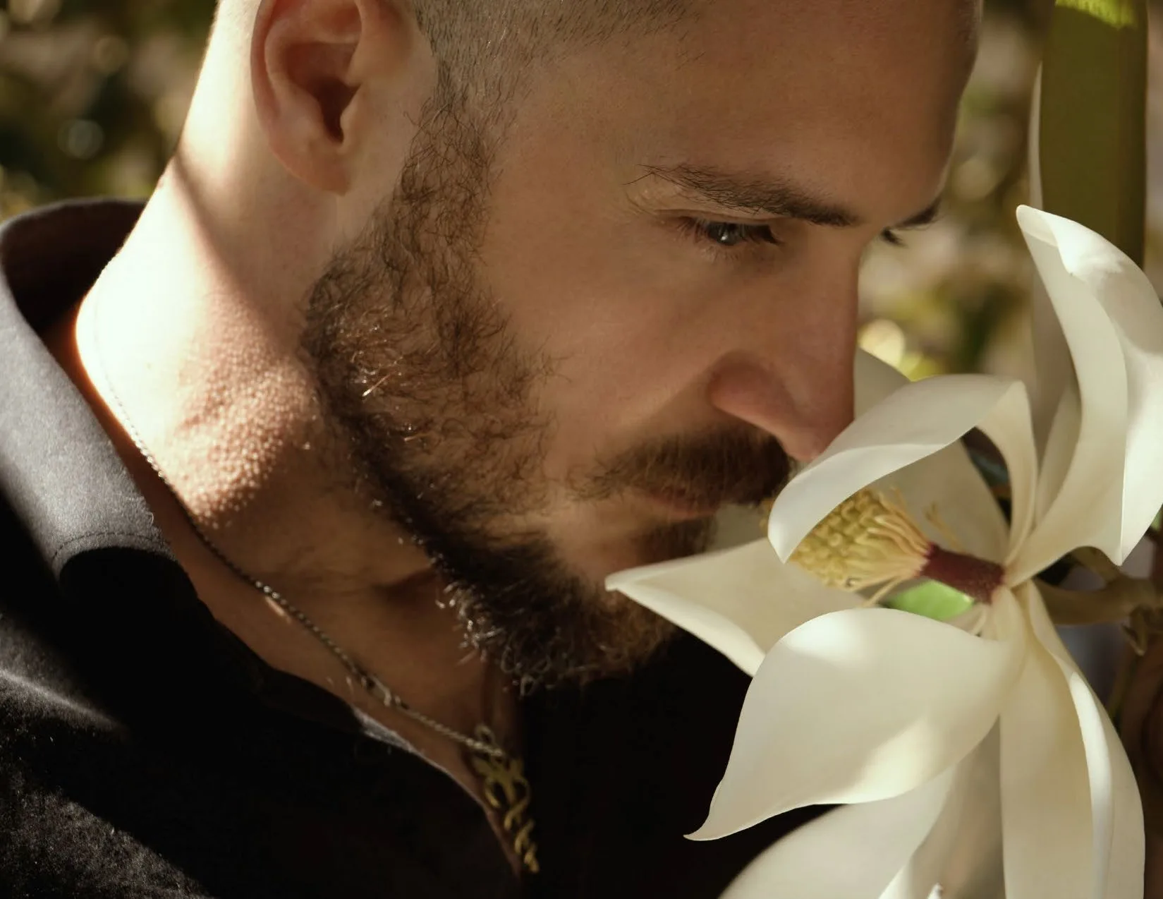 The Art of Perfumery